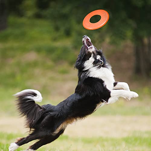 Nerf Dog Atomic Flyer Outdoor Dog Toy, 10 Inch Flying Disc Dog Fetch Toy, Rubber Dog Toy for Medium Dogs and Large Dogs, Orange - Image 2