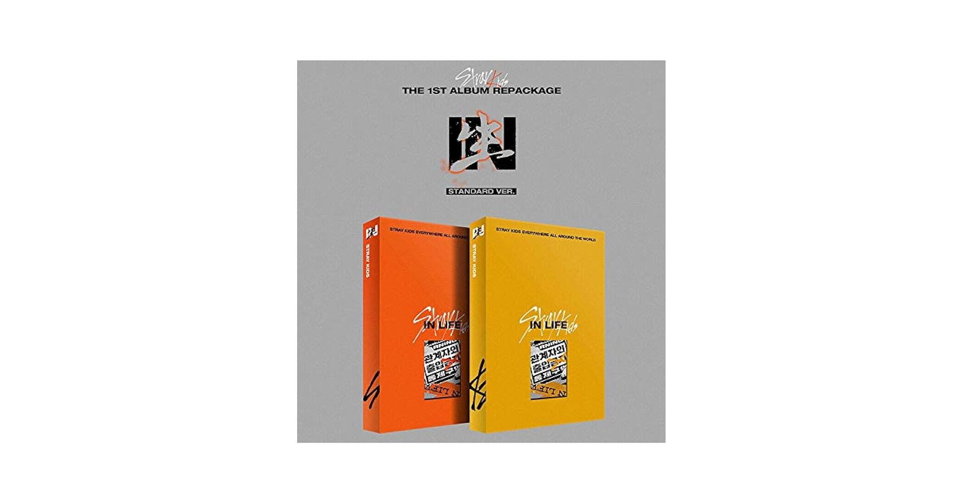 STRAY KIDS, STRAYKIDS - STRAY KIDS [IN生 / IN LIFE] 1st