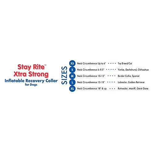 Remedy + Recovery Stay Rite Xtra Strong Inflatable Recovery Dog Collar, X-Small, Blue #TOP6