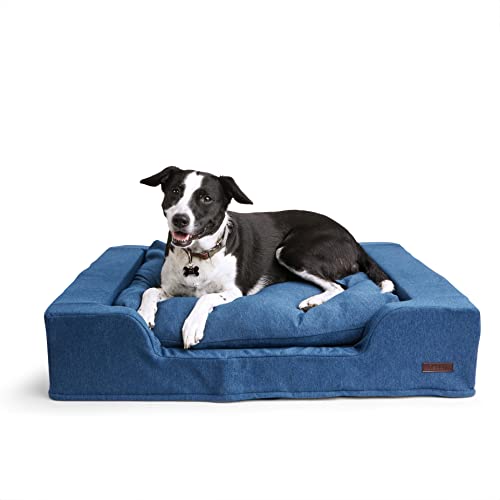 List of Ten Best Petco Orthopedic Dog Beds [Top Picks 2023 Reviews]