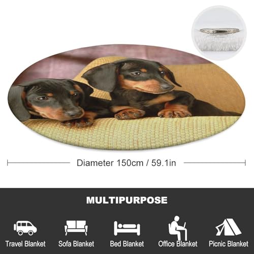 Couverture polaire imprimée motif teckel, le cadeau idéal pour amoureux des chiens