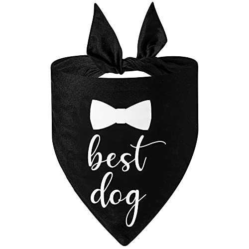 Bnibol Best Dog Two Pack Pet Bandanas #TOP12