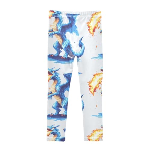 Girls Leggings Pixel Dragon Breathing Fire Toddler Girls Clothes Leggings for Girls Toddler Girls Leggings 3-4T2