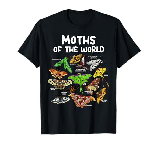 Moths Of the World Types of Moth Lover Insect Entomology