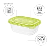 Rotho Sunshine Pojemnik na żywność 0,5 l z pokrywką, tworzywo sztuczne (PP), nie zawiera BPA, zielony, 0,5 l (15,5 x 11,0 x 6,0 cm)