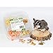 Exotic Nutrition Sugar Glider Treat Variety Pack (9.5 oz.) - Healthy Natural Sugar Glider Treat Assortment - Yogu Drops, Mango, Garden Fresh Re-Hydrate, and Banana - Sampler Variety Value Package