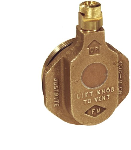 Justrite 08300 2" Npt Brass End of Drum Brass Bung Vent #1