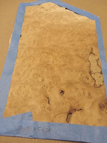 Pimento Pepperwood Burl Wood Veneer 13