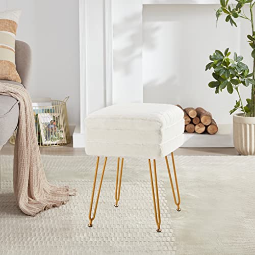 Soohow Vanity Chair Storage Vanity Stool Ottoman Foot Rest, Faux Fur Makeup Vanity Stool, Vanity Chair For Makeup Room, Foot Stool For Living Room, Bedroom, Storage Ottoman，Metal Legs #TOP1