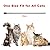 Cat Flea and Tick Collar 8 Months Protection - Adjustable Pet Flea Treatment Collar Waterproof for Cats Puppies - 33cm