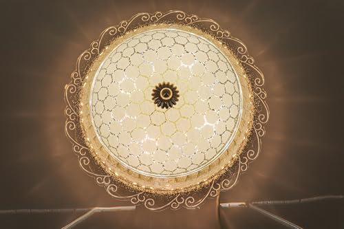 swanart Modern Lighting Chandelier Glass Light for Living Dining Room Round Hanging LED Lights