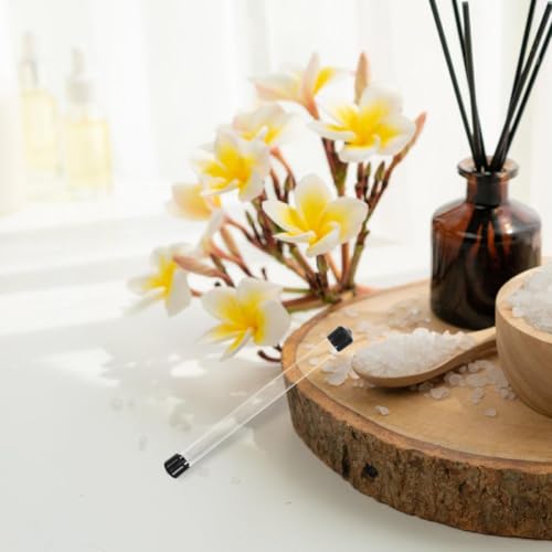 OUNONA 10Er Set Kunststoffröhrchen Transparente Runde Probenröhrchen 4.72 Zoll Mit Kappe Für Labor Aromatherapie Und Vielseitige Aufbewahrung