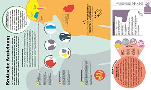 #dkinfografik. Der menschliche Körper: Und wie er funktioniert
