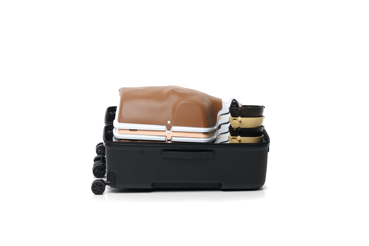 Little Anne Combo 6-pack
