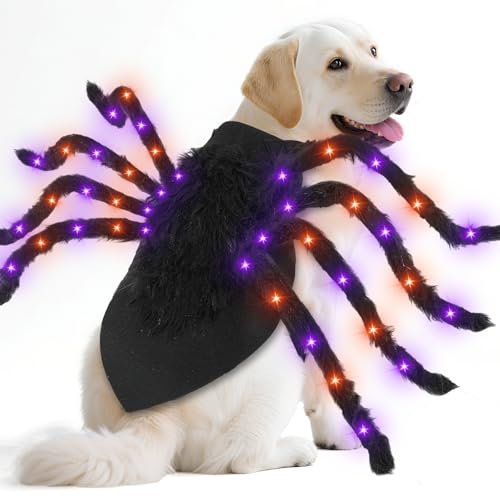 Camlinbo Orange Purple LED Spider Suit