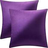 2 Pack 18x18 Pillow Cover Velvet Pillow Covers, Square Throw Pillow Covers for Living Room Decorations Throw Pillow Case, Throw Pillow Cover Cushion Cover for Sofa Bedroom Car, Eggplant Purple