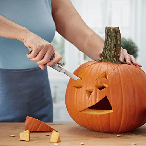 Swisstool X In Nylonetui #TOP6