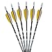 Fleetwood Fiberglass Arrows w/Feathers 6 Pack