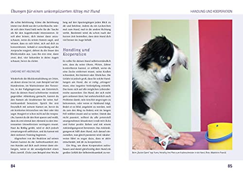 Das Buch für Hundeeltern: Hunde emotional verstehen und erziehen