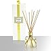 MINX Fragrances Citrus Scented Oil Reed Diffuser, Sandalwood and Amber, White