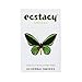 Ecstacy Herbal Cigarettes | Nicotine Free Cigarettes | 1 Pack(20single) of Tobacco Free Smokes (White)