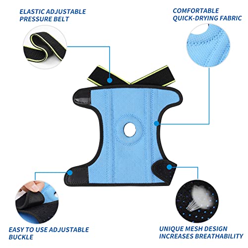 Petnedo Dog Canine Rear Leg Hock Joint Brace For Medium And Large Dog, Compression Wrap With Straps & Metal Spring Strips Protects Wounds, Heals, Prevents Injuries And Sprains From Arthritis-M #TOP3