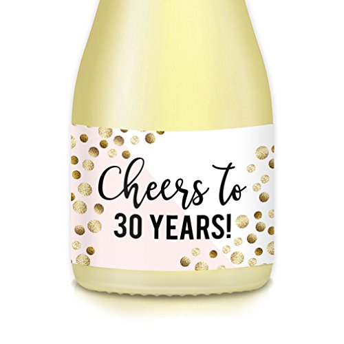 Digibuddha Women'S 30Th Birthday Ideas Adult Guest Favors, Decoration Mini Wine Bottle Labels, Cheers To 30 Years! Beautiful Pink & Gold Bubbly Decals, Set Of 20 Mini Champagne Bottle 3.5 Inch X 1.75 Inch Stickers cover