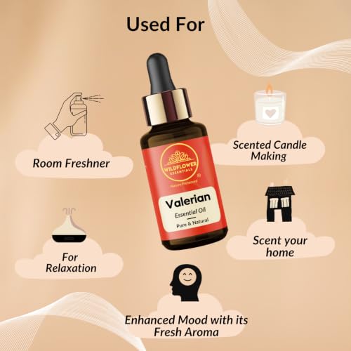 Image of Valerian Essential Oil (Valeriana officinalis) Pure | Non-Sticky | Lightweight | Steam Distilled | All Skin Types | Men & Women (5ml)