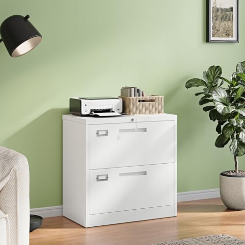 Image of Letaya 2 Drawer File Cabinet with Lock,Metal Lateral Filing Cabinet for Home Office,Hanging Letter /Legal /A4 Size (White, H27.95xW28.35xD15.74)