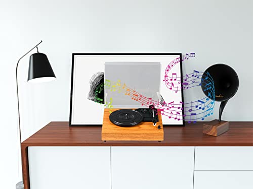 AWSAD Tourne Disque Vinyle Couvercle Anti-poussière en Acrylique Transparent, Tourne-Disque Bluetooth, Phonographe Rétro… - Les Beatles, Paul McCartney, John Lennon, RIngo Starr, George Harrison AWSAD Tourne Disque Vinyle Couvercle Anti-poussière en Acrylique Transparent, Tourne-Disque Bluetooth, Phonographe Rétro…