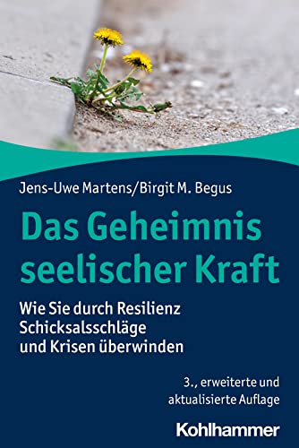 Das Geheimnis seelischer Kraft: Wie Sie durch Resilienz Schicksalsschläge und Krisen überwinden (German Edition)
