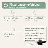AniForte Algenöl für Pferde, Hunde & Katzen 50 ml – Hochkonzentriertes, veganes Omega-3 Öl aus Algen unterstützt Gelenke, Stoffwechsel, Fell & Haut