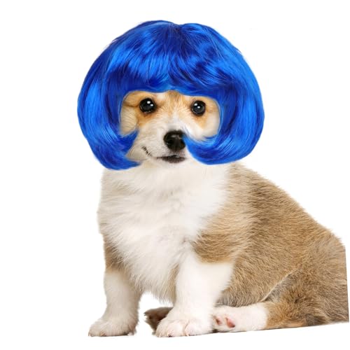 JEWEDECO LpybgEBbO 킢RXvwbhhX ybgߑpANZT[ Bep[eB[