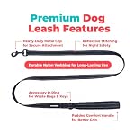 Best Pet Supplies Voyager Reflective Dog Leash or Collar with Neoprene Handle, for Small, Medium, and Large Breed Puppies, Cute and Heavy Duty for Walking, Running and Training - Black (Leash), M - Image 2
