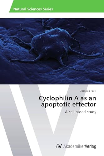 Cyclophilin A as an apoptotic effector: A cell-based study