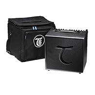 Acoustic Amp 8 inch Speaker 2 channels