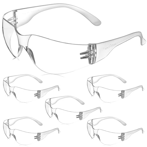 BISON LIFE Safety Glasses, One Size, Clear Protective Polycarbonate Lens - Clear Temple, 12 per Pack (Case of 12 packs, 144 pairs total)