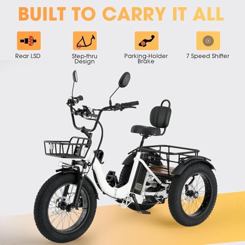 Skeri 750W Folding Electric Trike