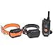 Dogtra Advanced 2 Dog 3/4 Mile Remote Trainer 2302NCP