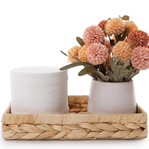 HAMOTOPI Badezimmer-Tablett für Theken