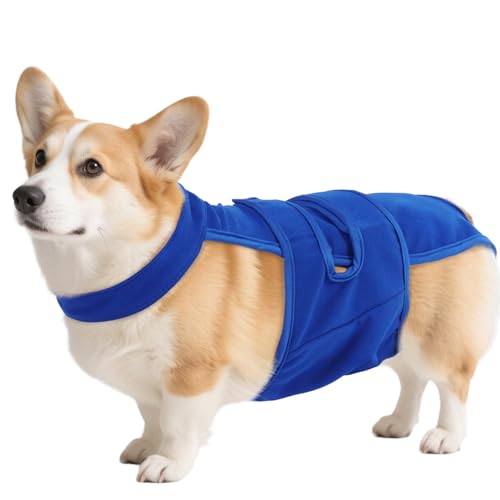 Image of QBLEEV Female Dog Diapers with Adjustable Suspenders - Washable Sanitary Panties for Dogs in Heat or Incontinence, Escape-Proof Reusable Pet Period Underwear Onesie for Small to Large Breeds