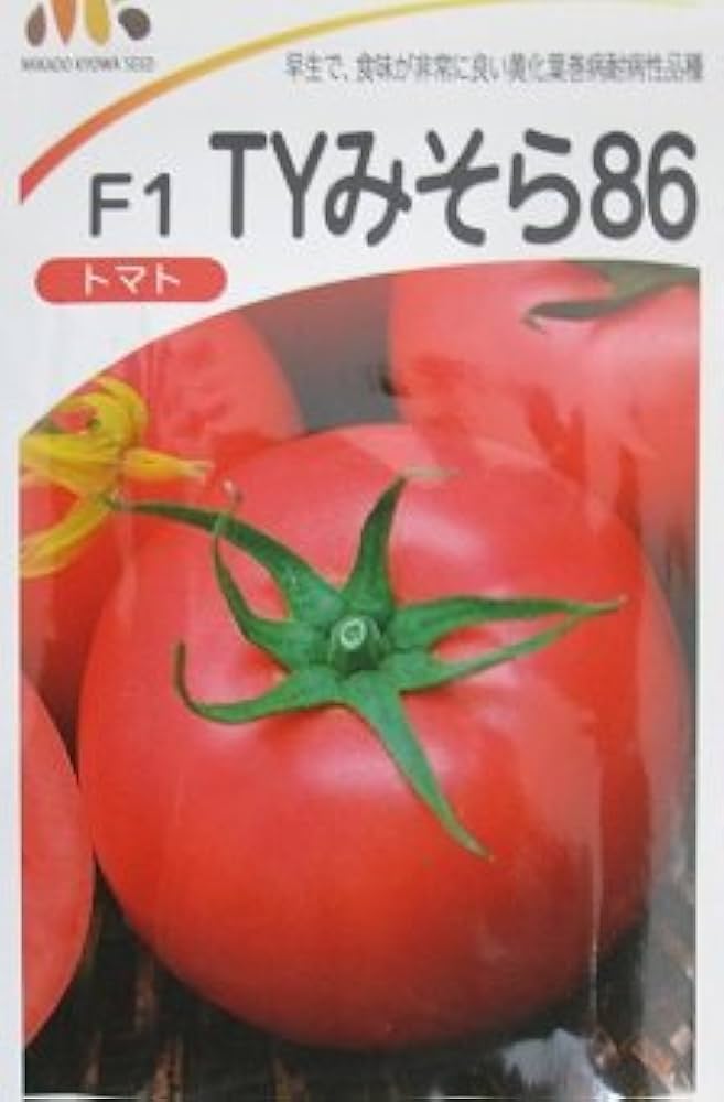 Amazon.co.jp: トマト F1TYみそら86 みかど協和の大玉トマト種