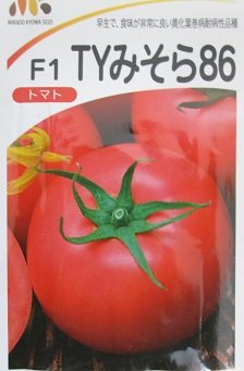 Amazon.co.jp: トマト F1TYみそら86 みかど協和の大玉
