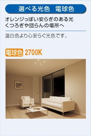 Amazon.co.jp: 大光電機（DAIKO） ダウンライト LED電球 4.2W