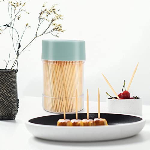bamboo toothpicks 3000 count - with reusable toothpick holder sturdy smooth finish tooth picks for party appetizer olive barbecue fruit and teeth cleaning green