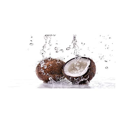 Crédence de cuisine en verre trempé 100x50 cm marron avec motif noix de coco
