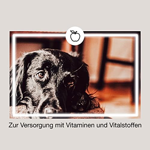 CaniMove multivital (100 Vitamintabletten für Hunde) | B-Komplex, A, C, D3, E und Taurin | Multivitamine für Barf, OPs, Aufbau, Laktation, Sport, Anstrengung, Krankheit | bis zu 1 Jahr Reichweite