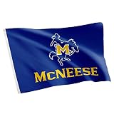 Desert Cactus McNeese State University MNSU Flag - 3 x 5 Feet Cowboys Banner, Indoor/Outdoor Durable Fabric, 100% Polyester Design (Style 1)