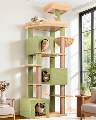 Globlazer Tiragraffi per Gatti Cactus Verde XXL Alto 203 cm con 3 Grandi Grotte 45*30*30CM, ExtraLarge Piattaforma, Cesto, Trespoli, Giocattoli, Albero Stabile per 4-6 Grandi Gatti Adulti (S80, Verde)