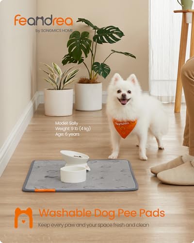 Image of Feandrea Washable Pee Pads for Dogs, 2 Pack, Reusable Dog Pads, 24 x 18 Inches, S, Waterproof Pet Training Pads, Leakproof, Non-Slip, Super Absorbent, for Dogs, Cats, Rabbits, Dove Gray UPTD001G01